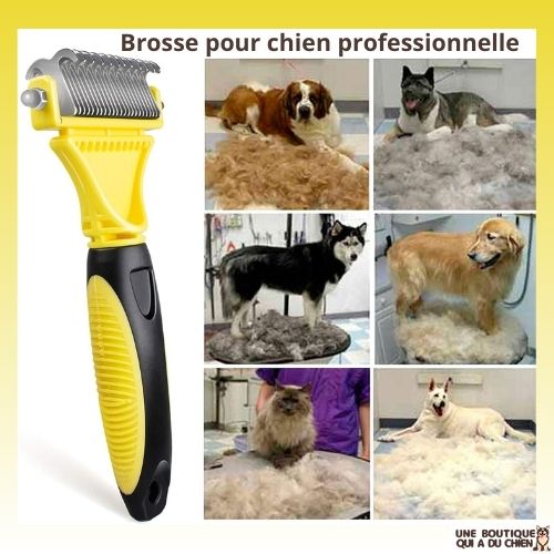 brosse-pour-chien-professionnelle