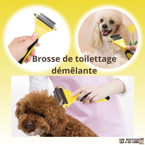 brosse-pour-chien-toilettage-demelante