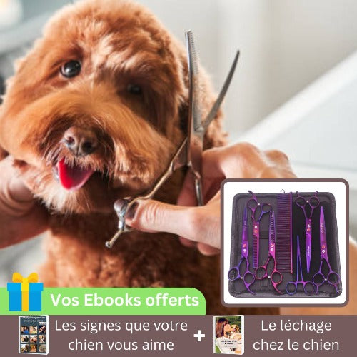 ciseaux-pour-chien-violet-professionnel