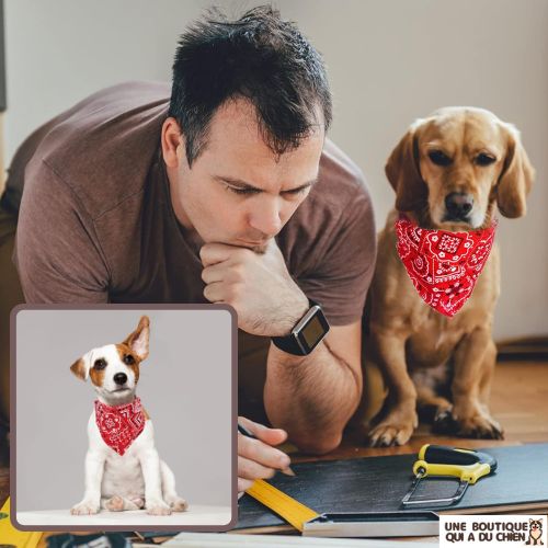 collier-chien-rouge-bandana