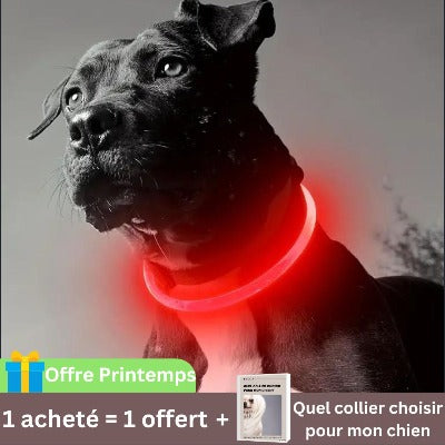 collier-lumineux-chien-rouge-usb