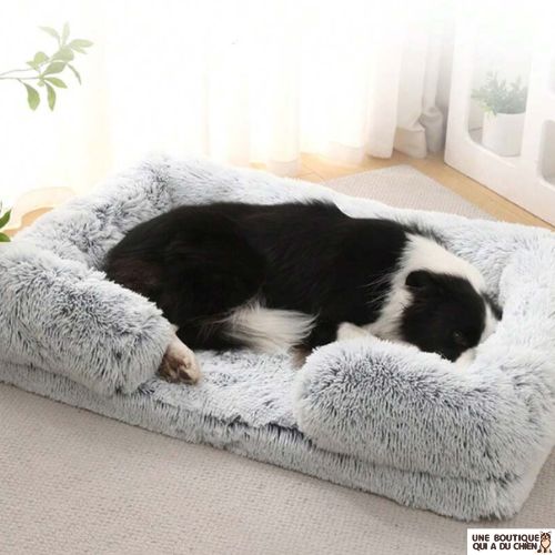 coussin-pour-chien-amovible-proprete