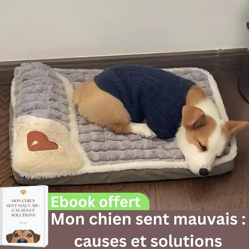 coussin-pour-chien-déhoussable-entretien