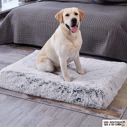 coussin-pour-chien-épais-dehoussable