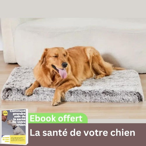 coussin-pour-chien-memoire-forme