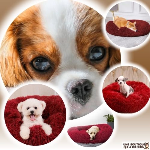 coussin-pour-chien-moelleux-douillet