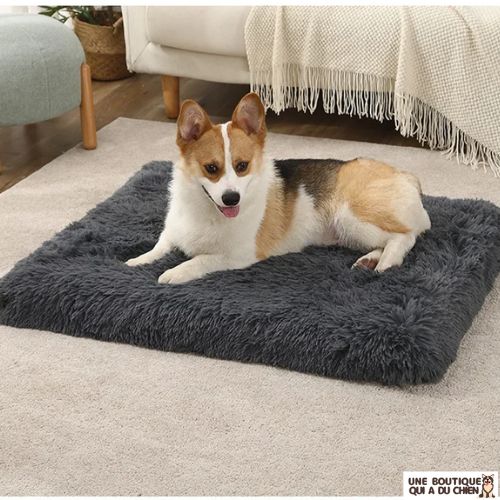 coussin-pour-chien-noir-lavable