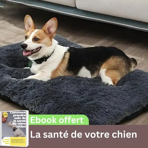 coussin-pour-chien-noir-memoire-forme