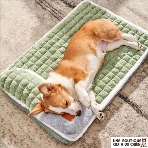 coussin-pour-chien-petit-orthopédique