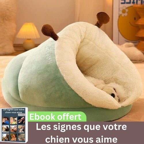 coussin-pour-chien-vert-chaud