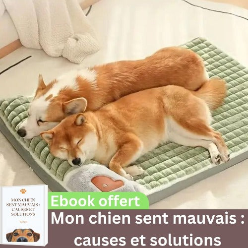 coussin-pour-chien-vert-déhoussable