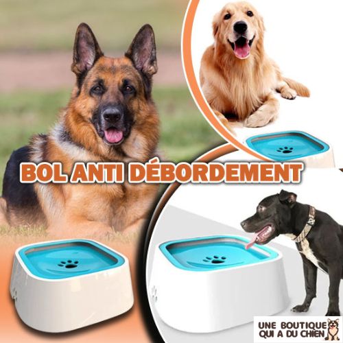 gamelle-chien-bol-anti-debordement