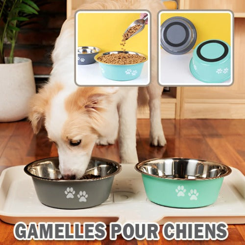 gamelle-chien-inox-antidérapant