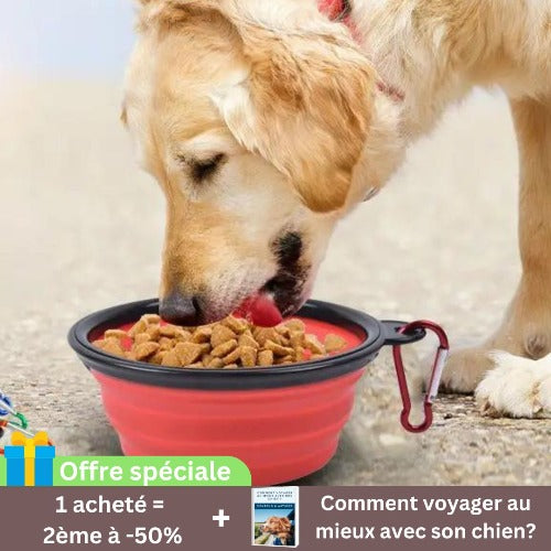 gamelle-chien-rouge-pliable-pratique