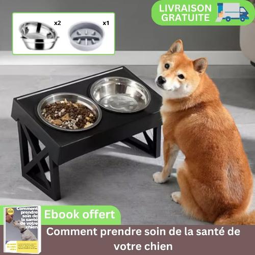 gamelle-chien-surelevee-anti-glouton