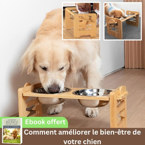 gamelle-chien-surélevée-bambou-inox