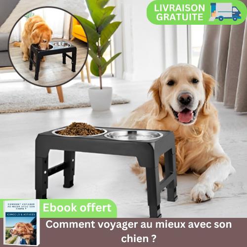 gamelle-chien-surelevee-pliable-labrador