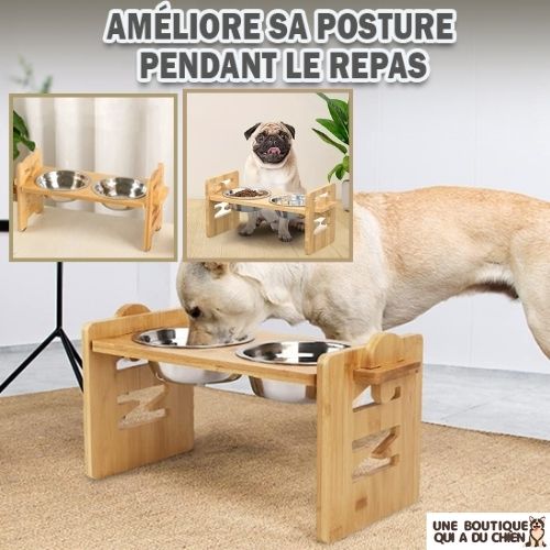 gamelle-chien-surélevée-posture-digestion