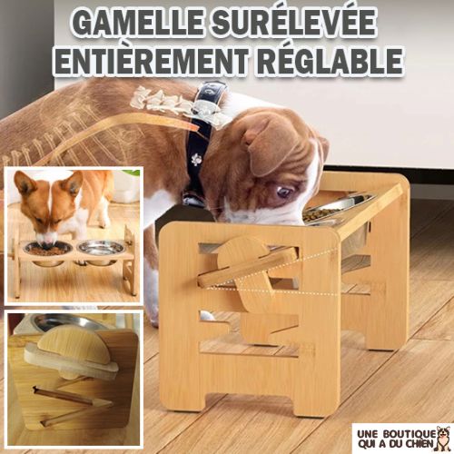 gamelle-chien-surélevée-réglable-ergonomique