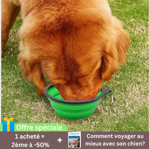 gamelle-chien-verte-plastique-extérieur