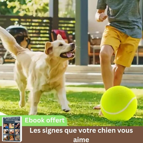 jouet-pour-chien-balle-géante