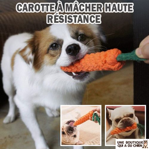 jouet-pour-chien-corde-résistant