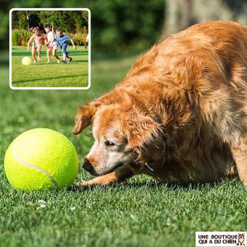 jouet-pour-chien-jeu-famille