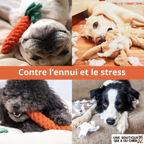 jouet-pour-chien-macher-antistress