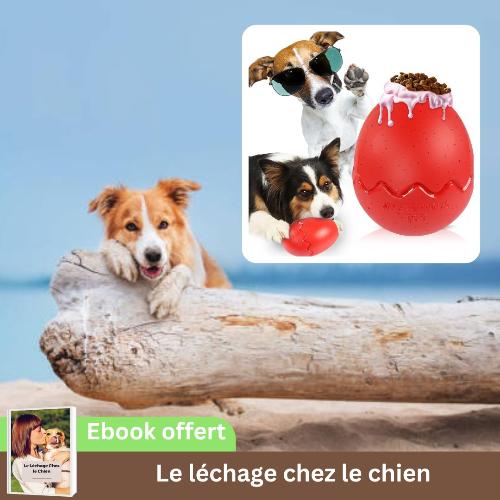 jouet-pour-chien-oeuf-antidestruction