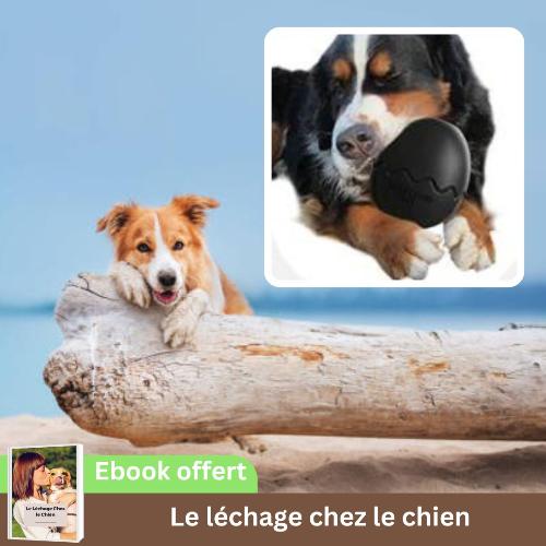 jouet-pour-chien-oeuf-indestructible