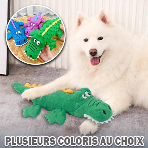 jouet-pour-chien-peluche-hygiène