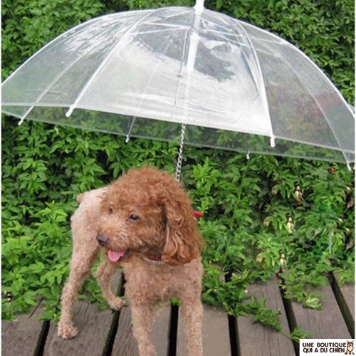 laisse-chien-parapluie-elegant-original