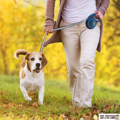 laisse-pour-chien-enrouleur-legere-robuste