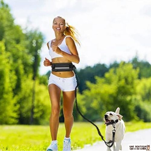 laisse-pour-chien-footing-canicross
