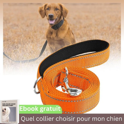 laisse-pour-chien-orange-reflechissante