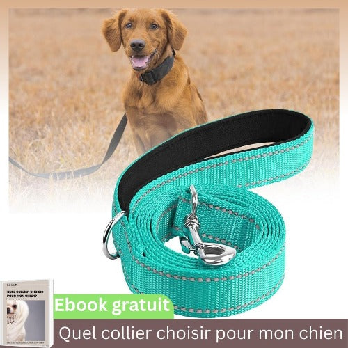 laisse-pour-chien-vert-reflechissante