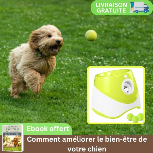 lanceur-de-balle-pour-chien-automatique