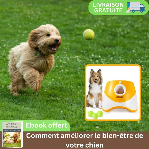 lanceur-de-balle-pour-chien-rechargeable