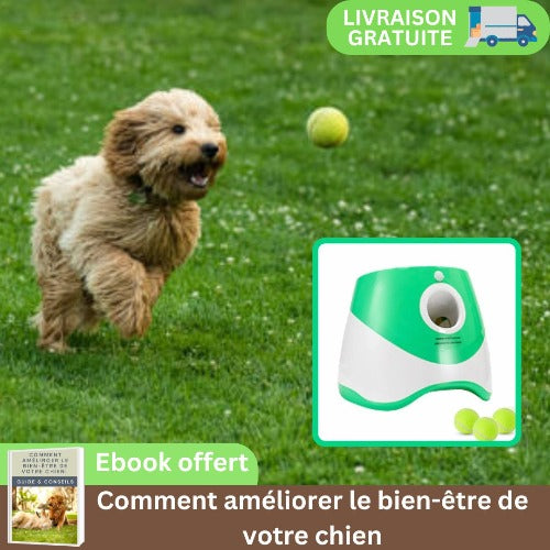 lanceur-de-balle-pour-chien-vert-automatique