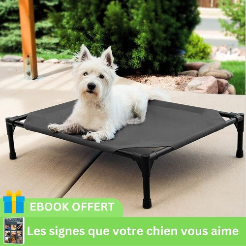 lit-de-camp-pour-chien-noir-respirant