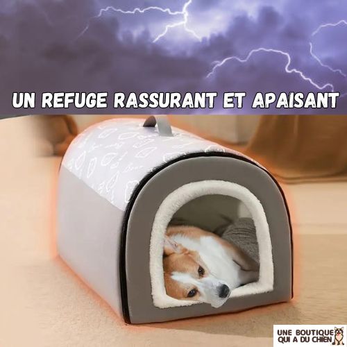 niche-pour-chien-interieur-antistress-rassurante