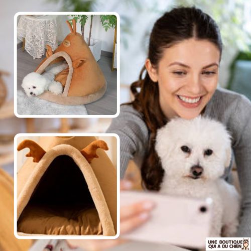 niche-pour-chien-interieur-confortable-sommeil