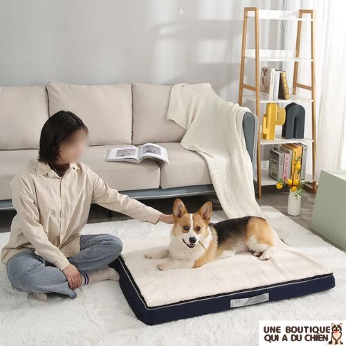 panier-chien-ergonomique-confortable