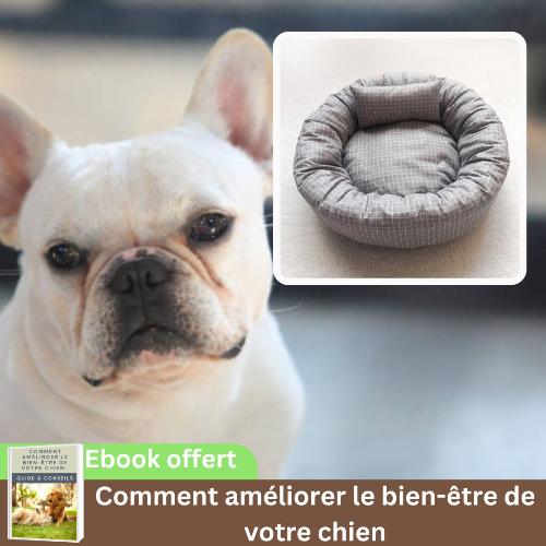 panier-chien-gris-dehoussable