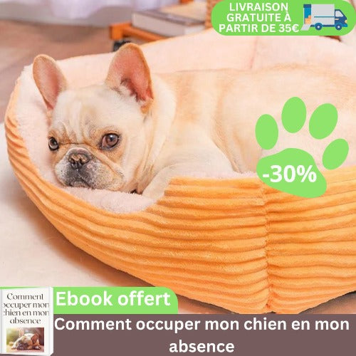 panier-chien-jaune-chaud