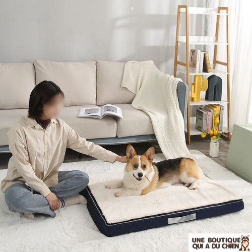 panier-pour-chien-ergonomique-confort