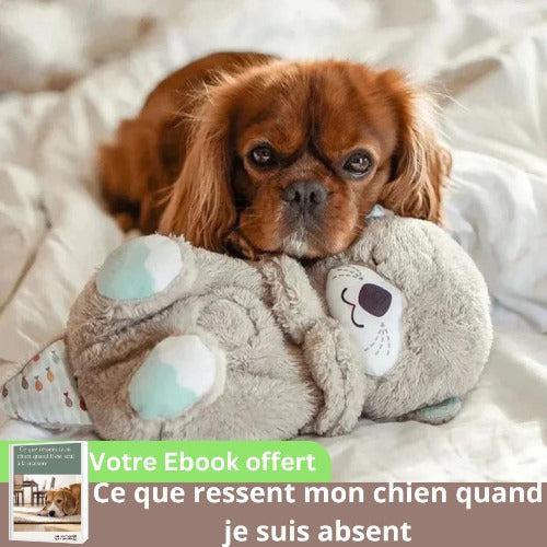 peluche-pour-chien-antistress-doudou