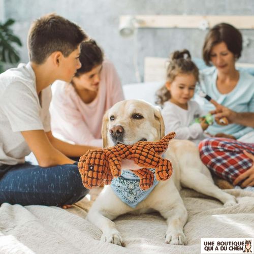 peluche-pour-chien-éveil-confortable