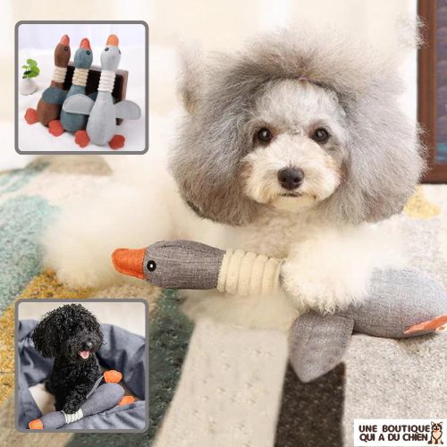 peluche-pour-chien-jouet-à-mâcher