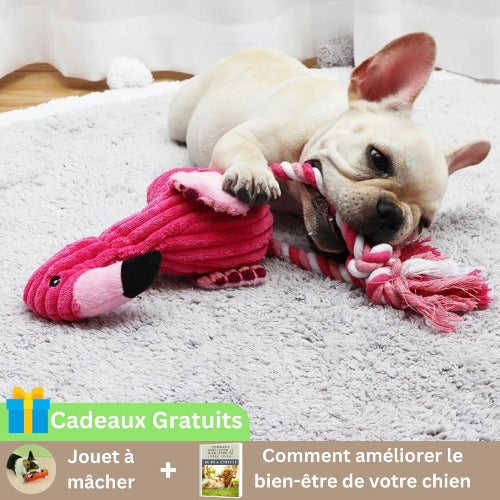 peluche-pour-chien-rose-interactif